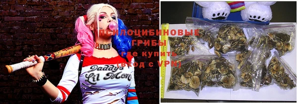ешки Михайловск