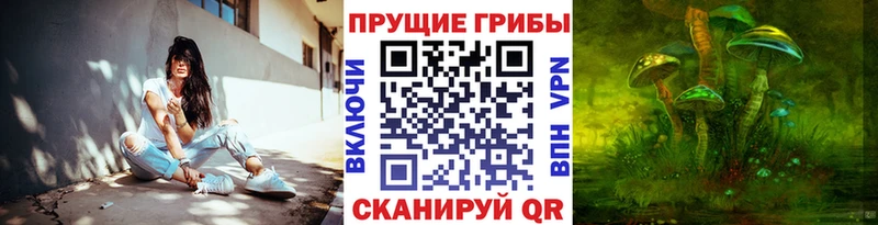 купить наркоту  Нижний Тагил  Псилоцибиновые грибы прущие грибы 