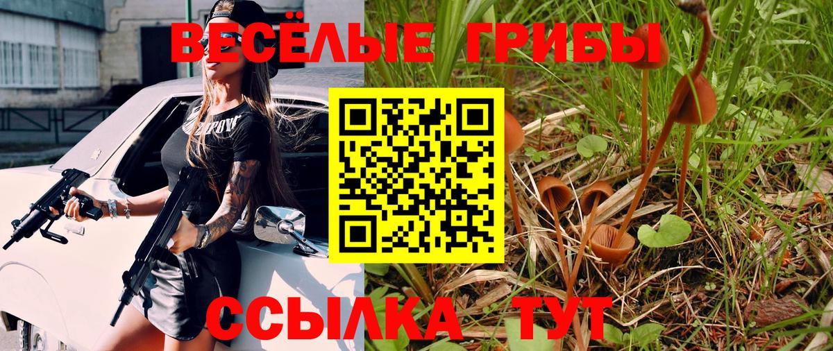 Галлюциногенные грибы Psilocybine cubensis  Вход с VPN  Нижний Тагил 
